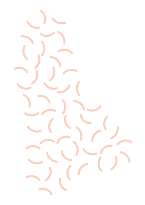 https://kurlykatch.com/wp-content/uploads/2021/02/floating_image_02.png
