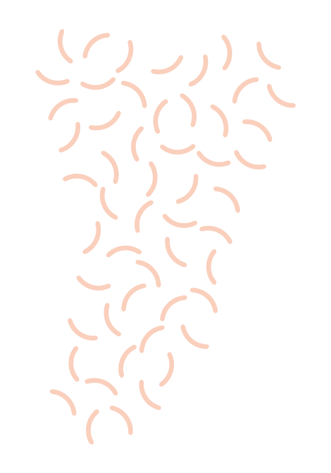 https://kurlykatch.com/wp-content/uploads/2021/02/floating_image_03.png