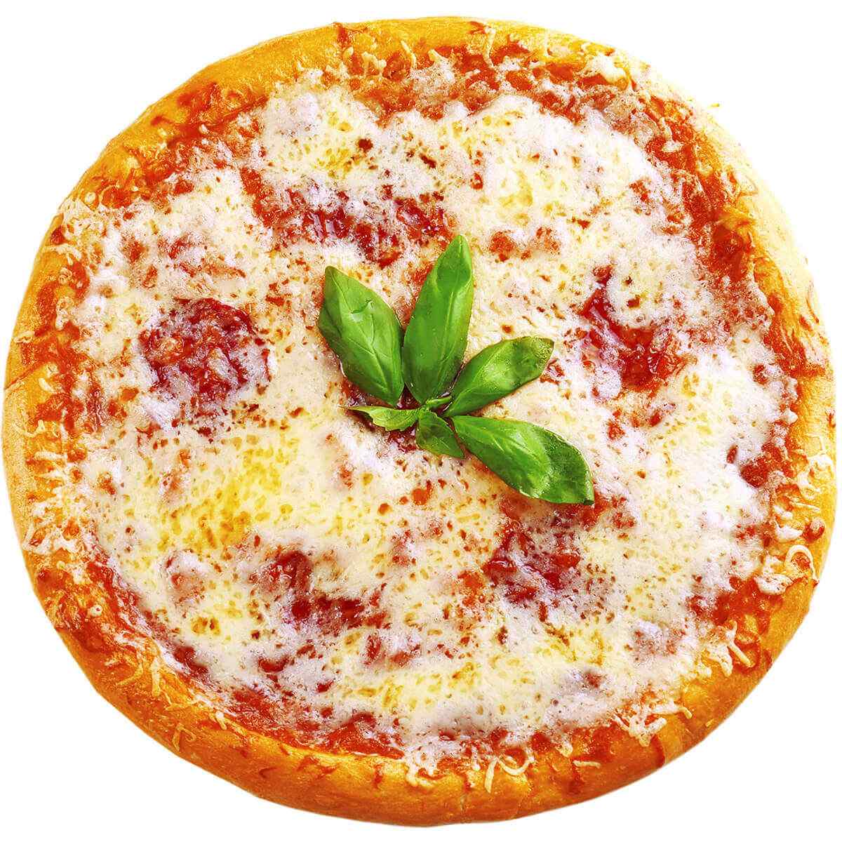 https://kurlykatch.com/wp-content/uploads/2021/02/product_16.jpg