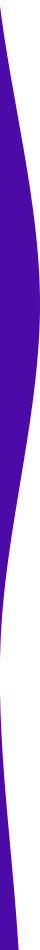 https://kurlykatch.com/wp-content/uploads/2021/03/purple-detail-left.png