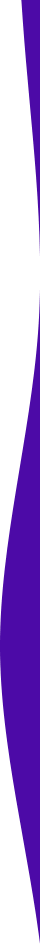 https://kurlykatch.com/wp-content/uploads/2021/04/purple-detail-right.png